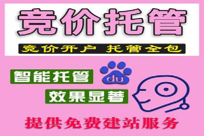 百度推广收费策略：案例分析及优化建议
